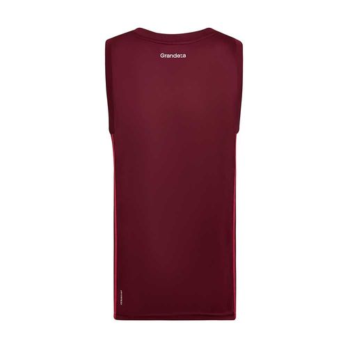 Musculosa Adidas River Plate 24/25 Alternativa