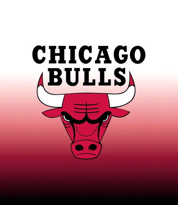 Mirá todos los productos de Chicago Bulls